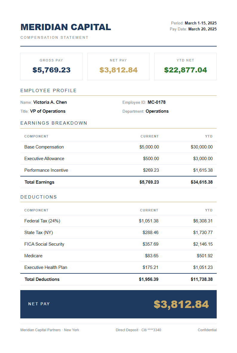 Executive Summary Payslip